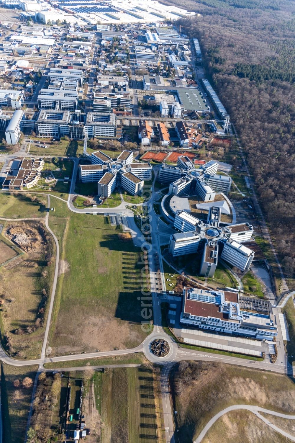 Aerial photograph Walldorf - Star-shaped office buildings of the SAP Deutschland SE & Co. KG at the forest edged in Walldorf in the state Baden-Wuerttemberg