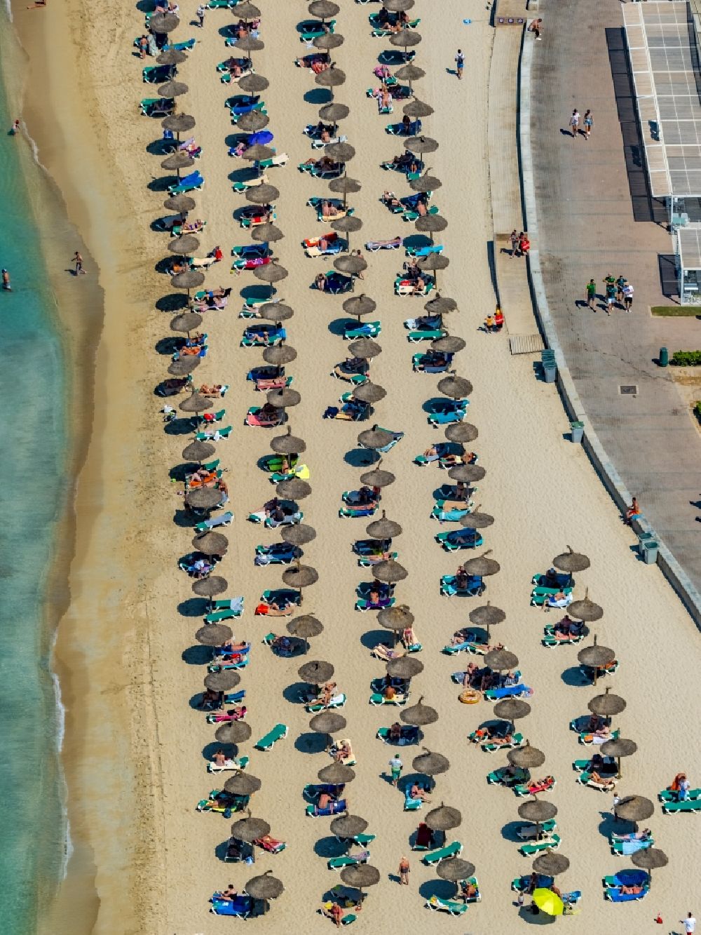 Palma from the bird's eye view: Beach chair on the sandy beach ranks in the coastal area of Ballermann 8 on Carretera de l'Arenal in Palma in Balearic island of Mallorca, Spain
