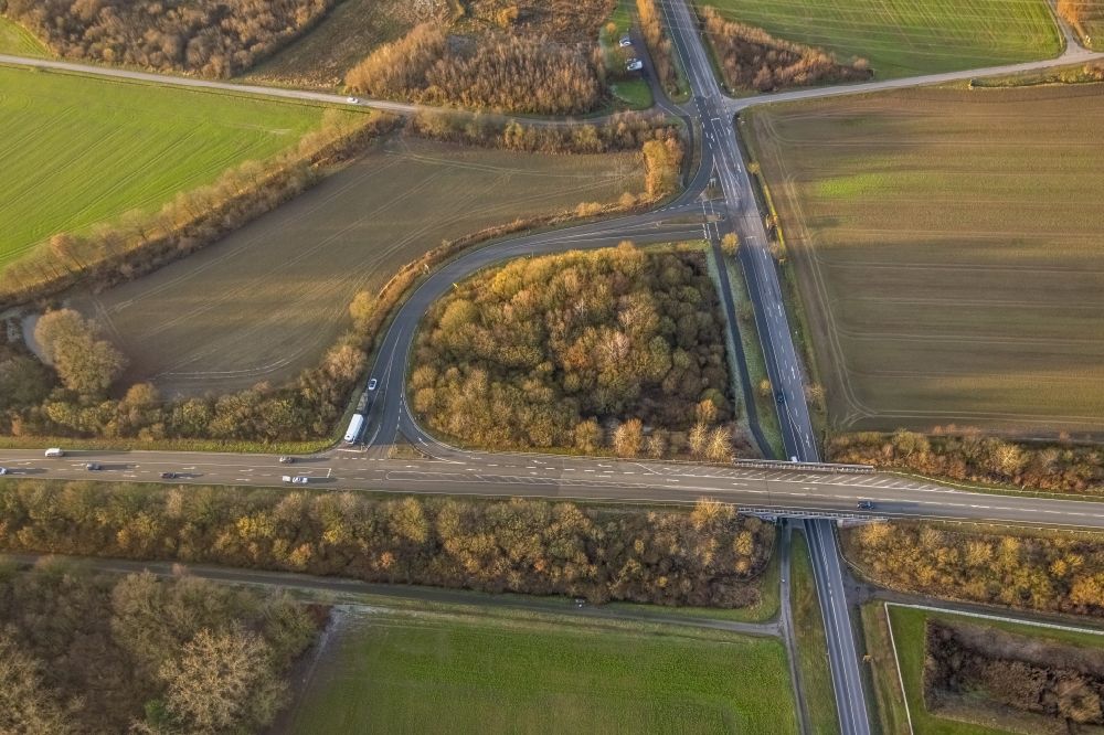 Hamm from above - Street - road guidance with a forest area along the Lipperandstrasse - Roemerstrasse in the district Bockum-Hoevel in Hamm at Ruhrgebiet in the state North Rhine-Westphalia, Germany