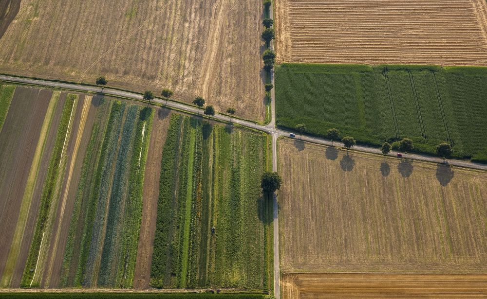 Sönnern from the bird's eye view: A crossroads of the Soennernstrasse between fields in the vicinity of Soennern in the state North Rhine-Westphalia