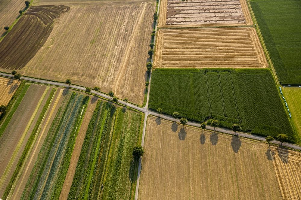 Aerial image Sönnern - A crossroads of the Soennernstrasse between fields in the vicinity of Soennern in the state North Rhine-Westphalia
