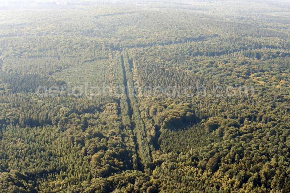 Walbeck from the bird's eye view: Route course of the former inner-German border between the GDR German Democratic Republic and the Federal Republic of Germany Federal Republic of Germany in a renatured forest near Walbeck in the state Saxony-Anhalt