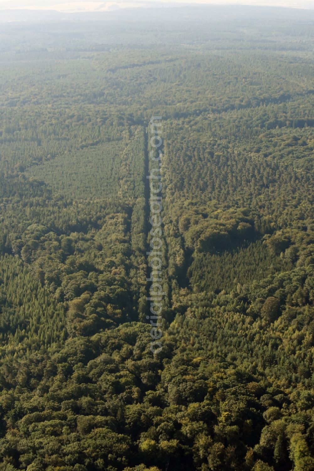 Aerial image Walbeck - Route course of the former inner-German border between the GDR German Democratic Republic and the Federal Republic of Germany Federal Republic of Germany in a renatured forest near Walbeck in the state Saxony-Anhalt