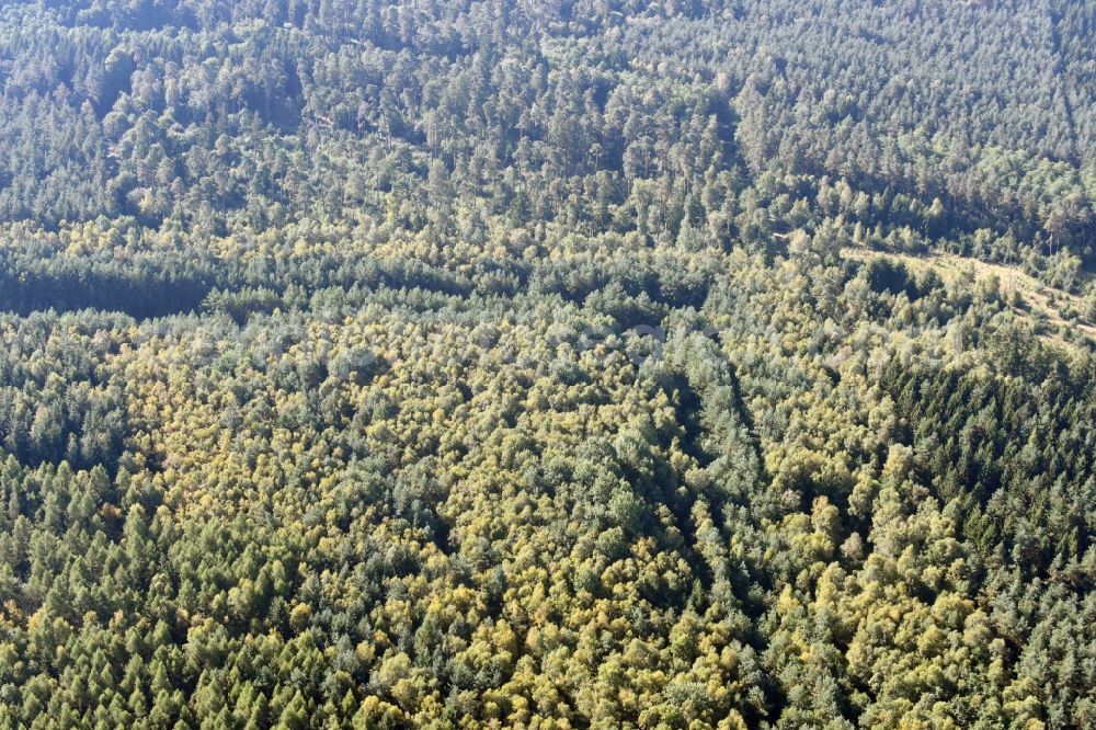Aerial image Walbeck - Route course of the former inner-German border between the GDR German Democratic Republic and the Federal Republic of Germany Federal Republic of Germany in a renatured forest near Walbeck in the state Saxony-Anhalt