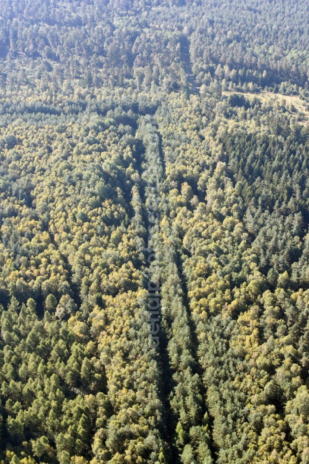 Aerial photograph Walbeck - Route course of the former inner-German border between the GDR German Democratic Republic and the Federal Republic of Germany Federal Republic of Germany in a renatured forest near Walbeck in the state Saxony-Anhalt