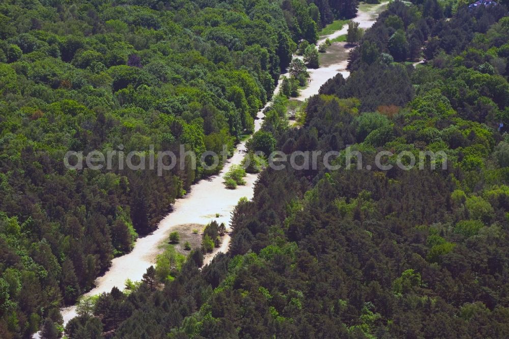 Aerial image Berlin - Route course of the former inner-German border between the GDR German Democratic Republic and the Federal Republic of Germany Federal Republic of Germany in forest Bieselheide in the district Reinickendorf in Berlin, Germany