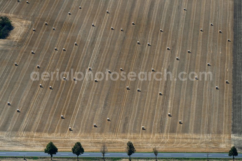 Aerial image Teutschenthal - Straw bale landscape in a field on the outskirts on street L164 in the district Dornstedt in Teutschenthal in the state Saxony-Anhalt, Germany