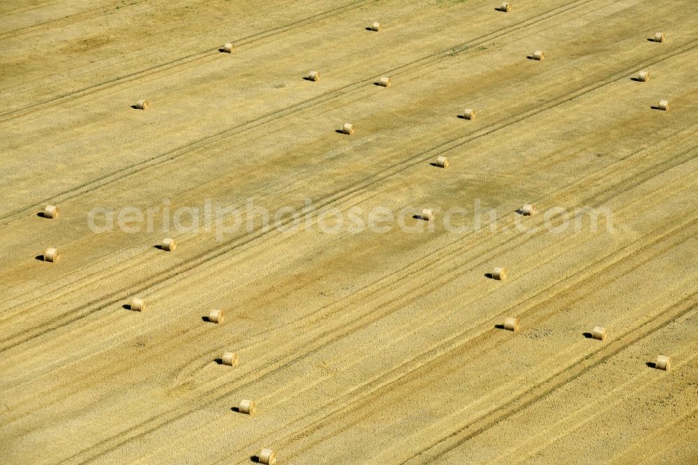 Zschepplin from the bird's eye view: Straw bale landscape in a field on the outskirts in Zschepplin in the state Saxony