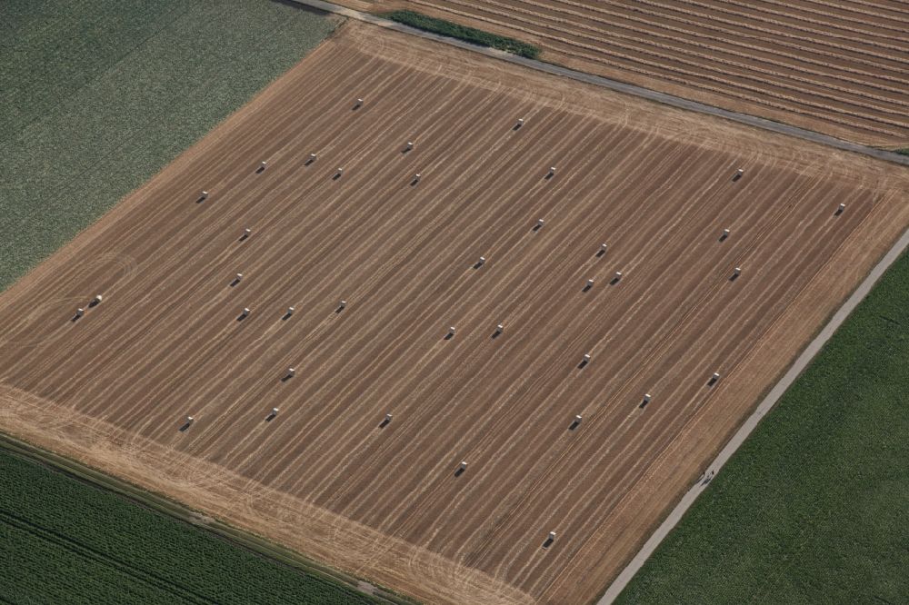 Aerial photograph Osthofen - Straw stack in an agricultural space in Osthofen in the state Rhineland-Palatinate, Germany