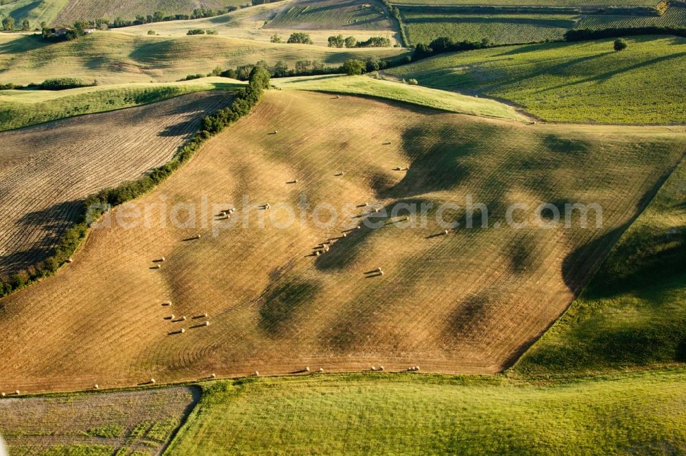 Montepulciano from the bird's eye view: Straw bale landscape in a field on the outskirts in the district Montsoli in Montepulciano in Toscana, Italy