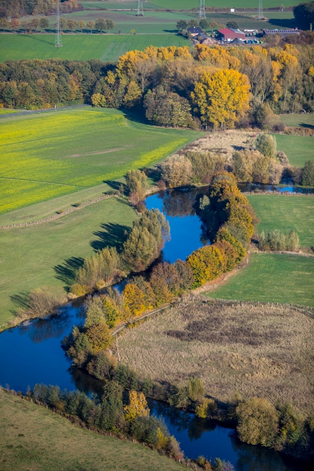Aerial photograph Dolberg - Grassland structures of a meadow and field landscape in the lowland on river Lippe in Dolberg in the state North Rhine-Westphalia, Germany