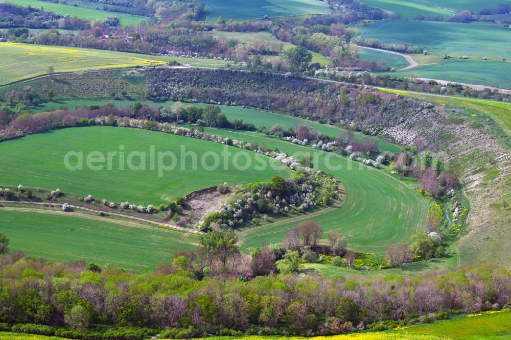 Aerial image Wasserthaleben - Grassland structures of a meadow and field landscape in the lowland of Helbe in Wasserthaleben in the state Thuringia, Germany