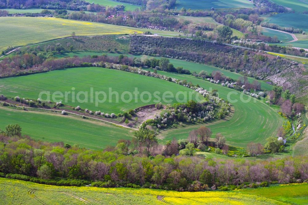 Wasserthaleben from above - Grassland structures of a meadow and field landscape in the lowland of Helbe in Wasserthaleben in the state Thuringia, Germany