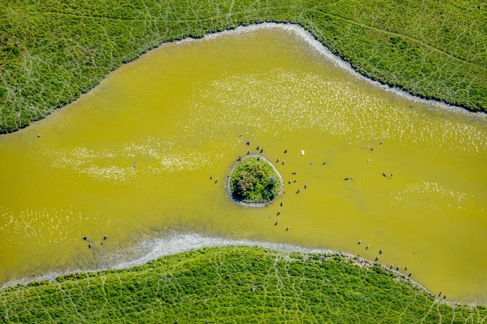 Aerial photograph Hamm - Grassland structures of a meadow and field landscape in the lowland of Lippe in the district Norddinker in Hamm in the state North Rhine-Westphalia, Germany