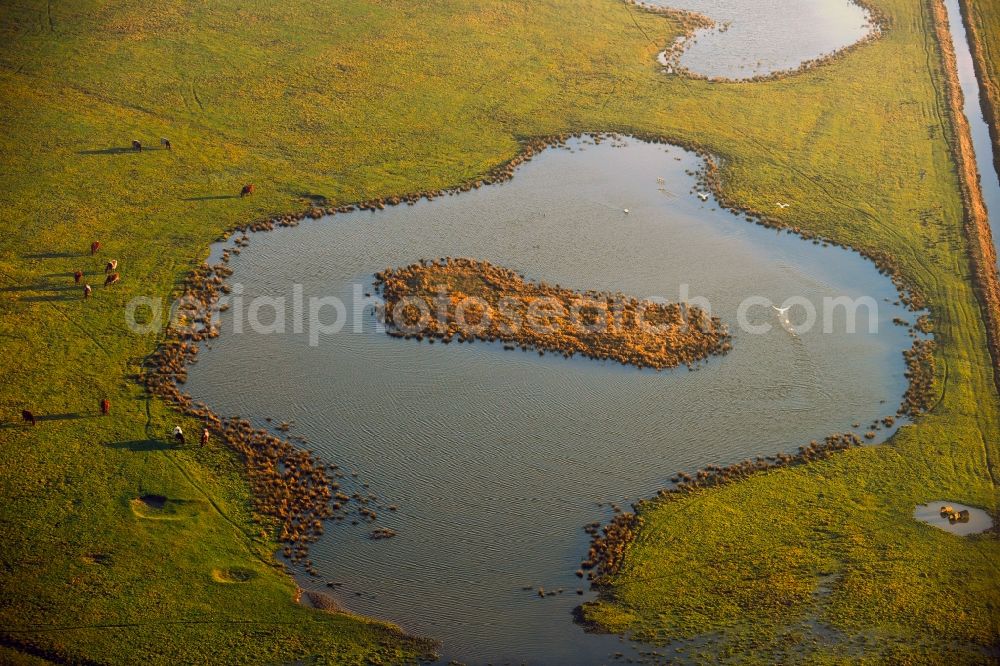 Aerial photograph Amt Neuhaus - Grassland structures of a meadow and field landscape in the lowland of Sude in Amt Neuhaus in the state Lower Saxony, Germany