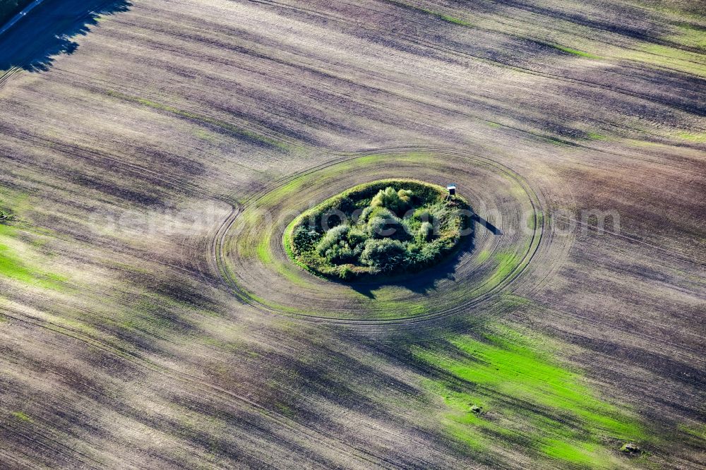 Altenholz from the bird's eye view: Structures on an agricultural field in Altenholz in the state Schleswig-Holstein, Germany