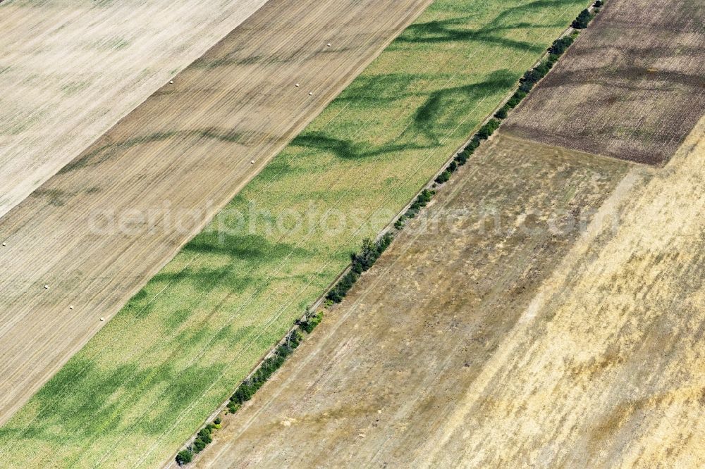Aerial photograph Bad Düben - Structures on agricultural fields in Bad Dueben in the state Saxony, Germany