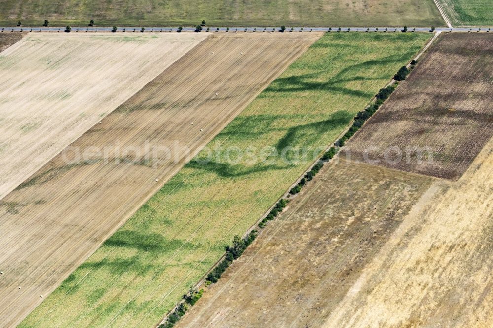 Aerial image Bad Düben - Structures on agricultural fields in Bad Dueben in the state Saxony, Germany