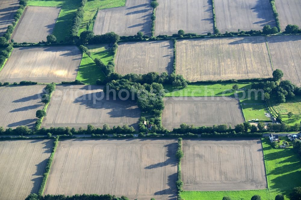 Aerial image Barsbüttel - Structures on agricultural fields in Barsbuettel in the state Schleswig-Holstein