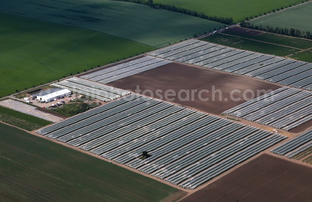 Aerial photograph Gebesee - Structures on agricultural fields growing strawberries of Erdbeerhof in Gebesee in the state Thuringia, Germany