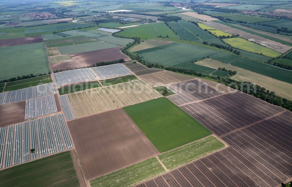 Gebesee from the bird's eye view: Structures on agricultural fields growing strawberries of Erdbeerhof in Gebesee in the state Thuringia, Germany