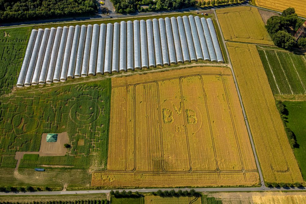 Grevel from the bird's eye view: Structures on agricultural fields with BVB-Wappen in Grevel at Ruhrgebiet in the state North Rhine-Westphalia, Germany