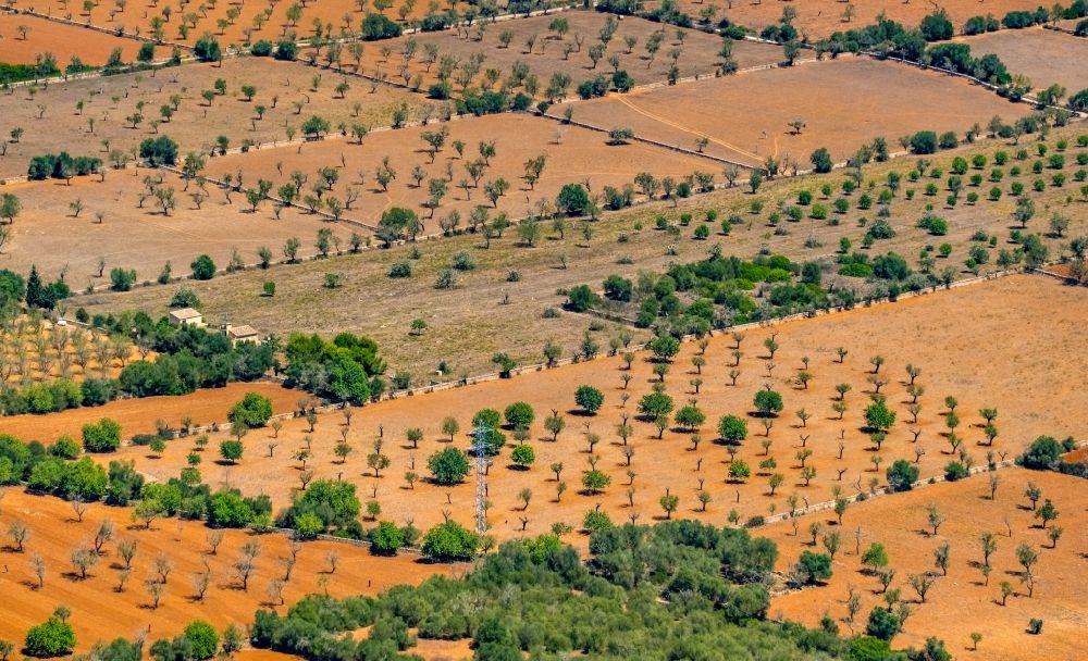 Campos from above - Structures on agricultural fields in Campos in Balearic island of Mallorca, Spain