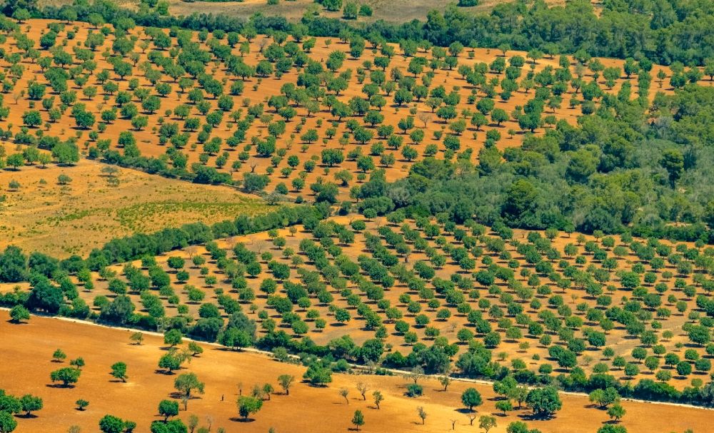 Aerial image Campos - Structures on agricultural fields in Campos in Balearic island of Mallorca, Spain