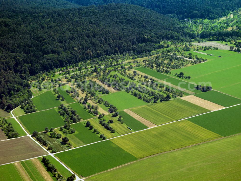 Derendingen from above - Structures on agricultural fields in Derendingen in the state Baden-Wuerttemberg, Germany