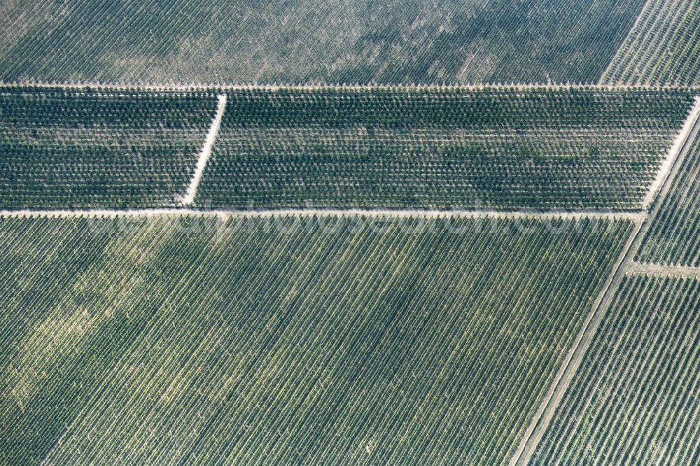 Aerial image Döllstädt - Structures on agricultural fields in Doellstaedt in the state Thuringia, Germany