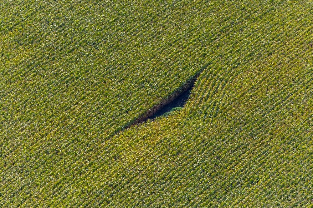 Aerial image Hiltrop - Structures on agricultural fields with Form in Hiltrop in the state North Rhine-Westphalia, Germany
