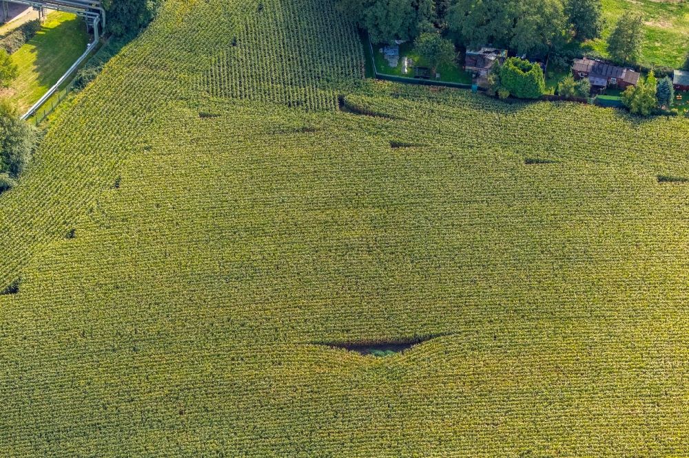 Aerial photograph Hiltrop - Structures on agricultural fields with Form in Hiltrop in the state North Rhine-Westphalia, Germany