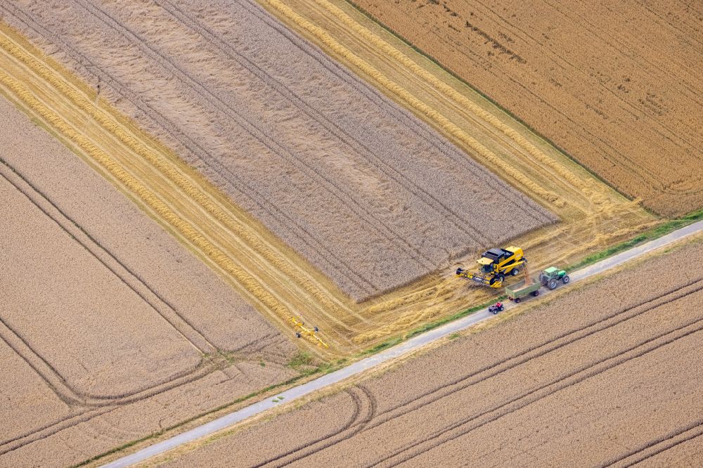 Aerial photograph Frohnhausen - Structures on agricultural fields in Frohnhausen in the state North Rhine-Westphalia, Germany