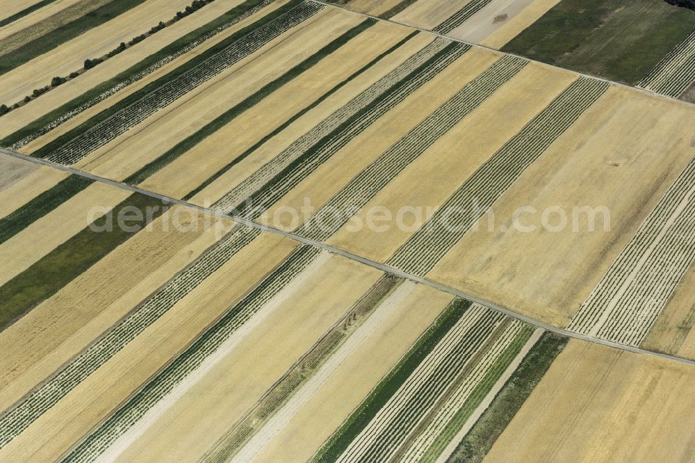 Graben-Neudorf from above - Structures on agricultural fields in Graben-Neudorf in the state Baden-Wuerttemberg, Germany