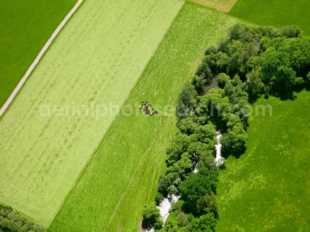 Gutenzell from the bird's eye view: Structures on agricultural fields in Gutenzell in the state Baden-Wuerttemberg, Germany
