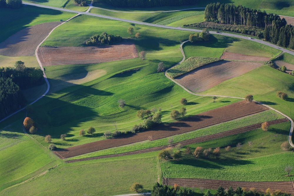 Aerial photograph Hasel - Structures and sinkholes in agricultural fields and forests in the karst landscape in Hasel in the state of Baden-Wuerttemberg
