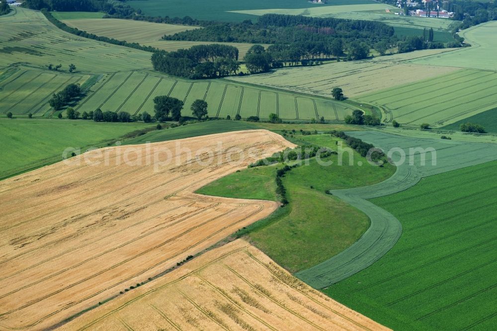 Heudeber from the bird's eye view: Structures on agricultural fields in Heudeber in the state Saxony-Anhalt, Germany