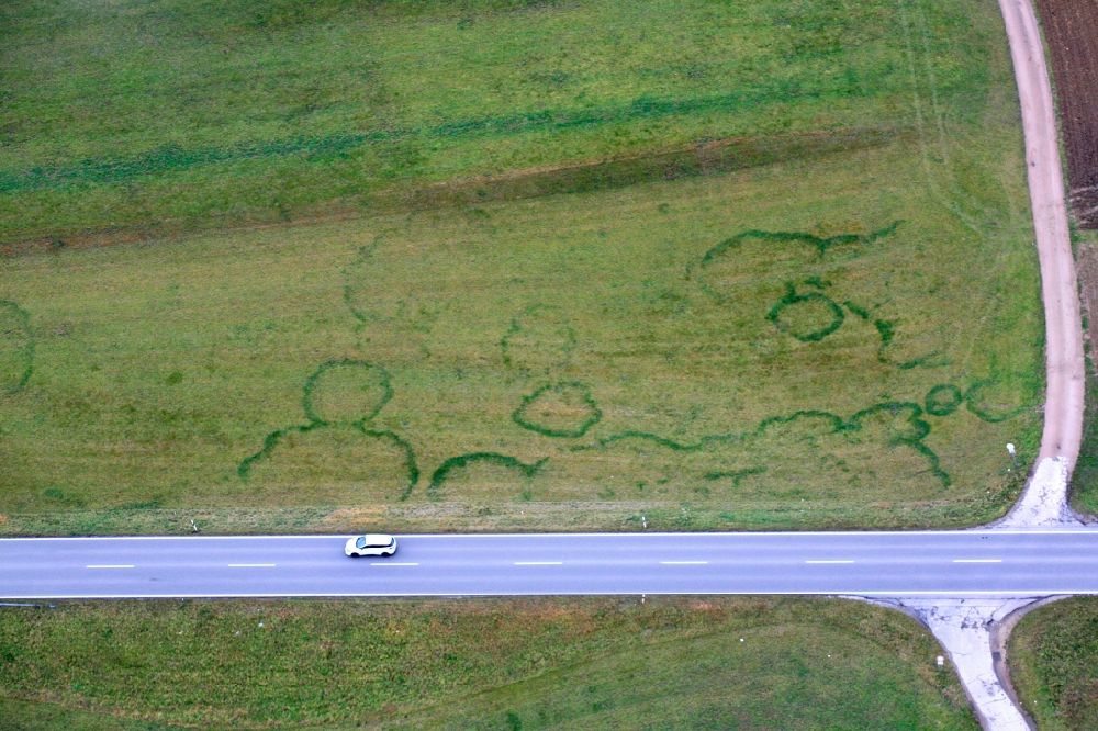 Hasel from the bird's eye view: Structures on agricultural fields are called fairy rings and are caused by the subterranean growing of a mushroom mycelium in Hasel in the state Baden-Wurttemberg, Germany