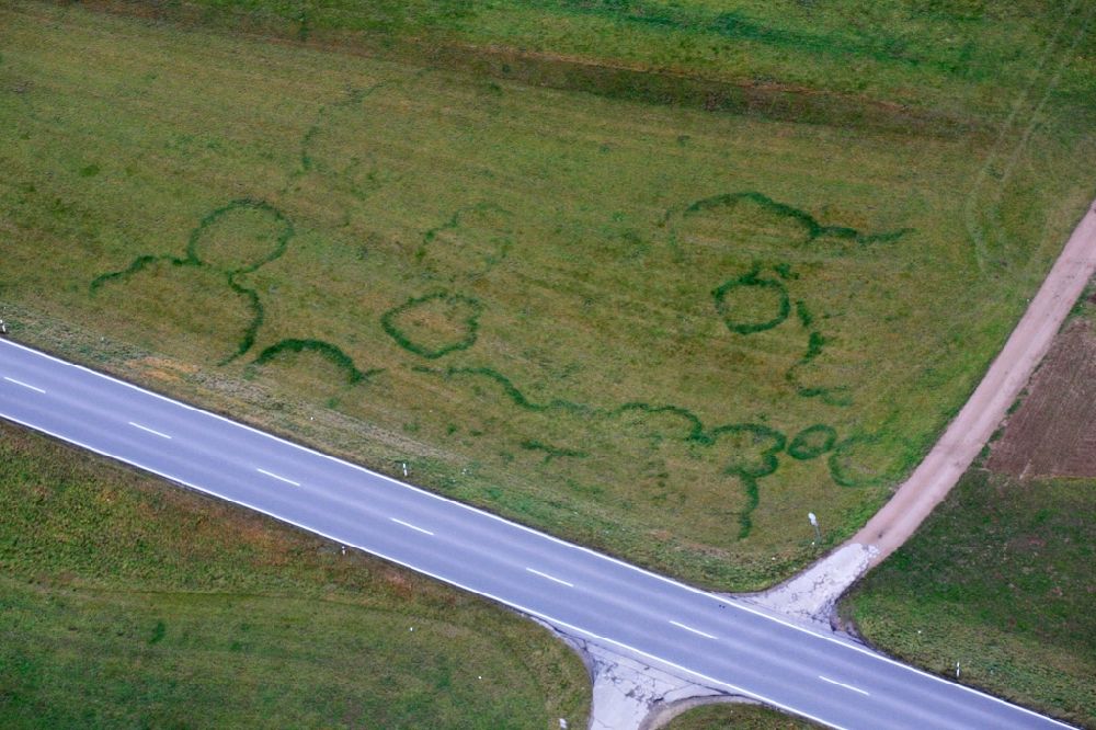 Aerial image Hasel - Structures on agricultural fields are called fairy rings and are caused by the subterranean growing of a mushroom mycelium in Hasel in the state Baden-Wurttemberg, Germany