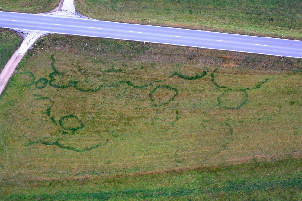 Hasel from above - Structures on agricultural fields are called fairy rings and are caused by the subterranean growing of a mushroom mycelium in Hasel in the state Baden-Wurttemberg, Germany