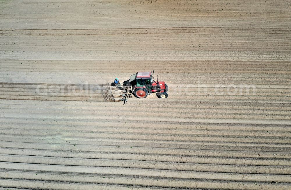 Aerial photograph Jahnsfelde - Structures on agricultural fields of a potato field in Jahnsfelde in the state Brandenburg, Germany