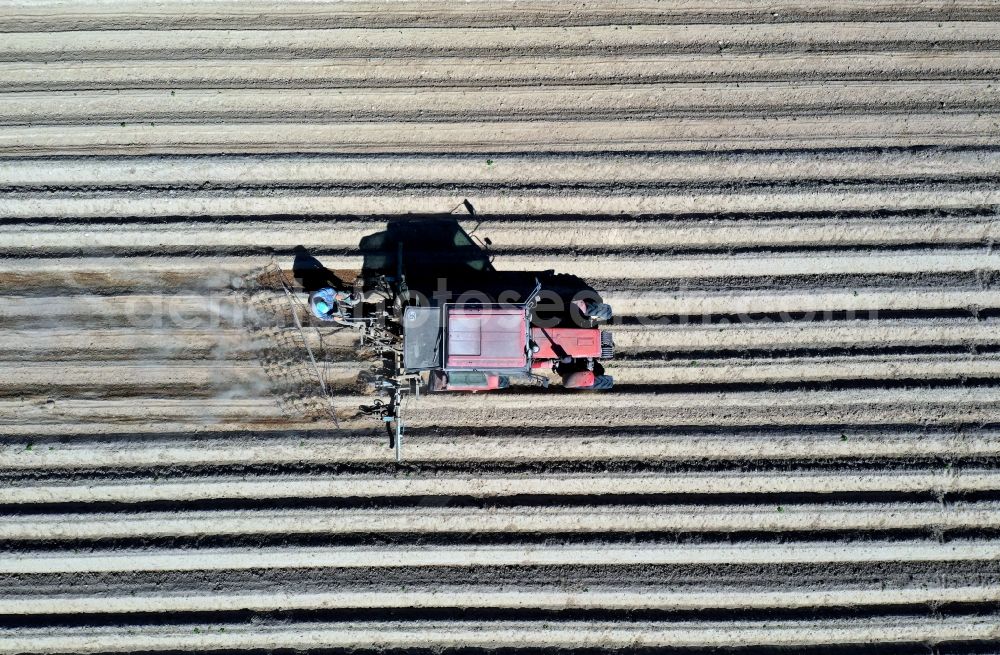 Jahnsfelde from the bird's eye view: Structures on agricultural fields of a potato field in Jahnsfelde in the state Brandenburg, Germany
