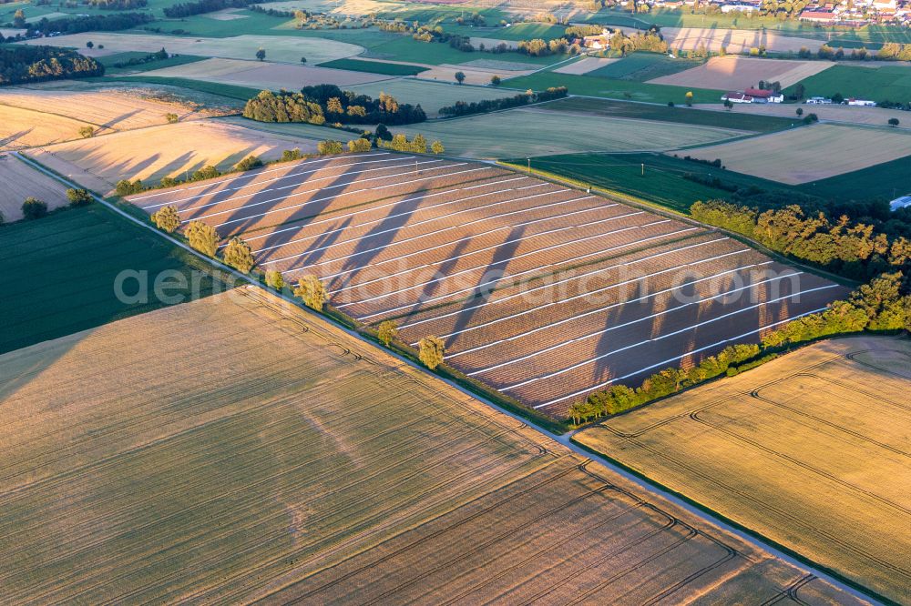 Aerial image Geiselhöring - Structures on agricultural fields with long shadows of nearby rows of trees in Geiselhoering in the state Bavaria, Germany