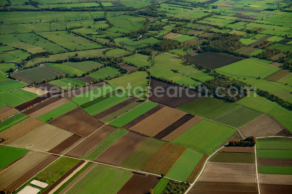 Langenau from above - Structures on agricultural fields in Langenau in the state Baden-Wuerttemberg, Germany