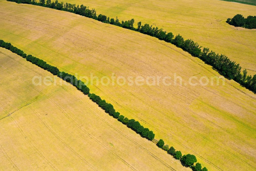 Aerial image Memmendorf - Structures on agricultural fields in Memmendorf in the state Saxony, Germany