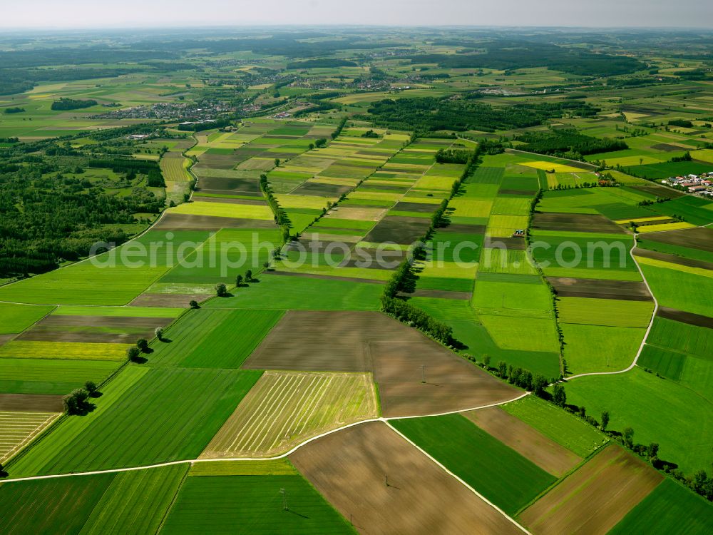 Aerial photograph Mietingen - Structures on agricultural fields in Mietingen in the state Baden-Wuerttemberg, Germany