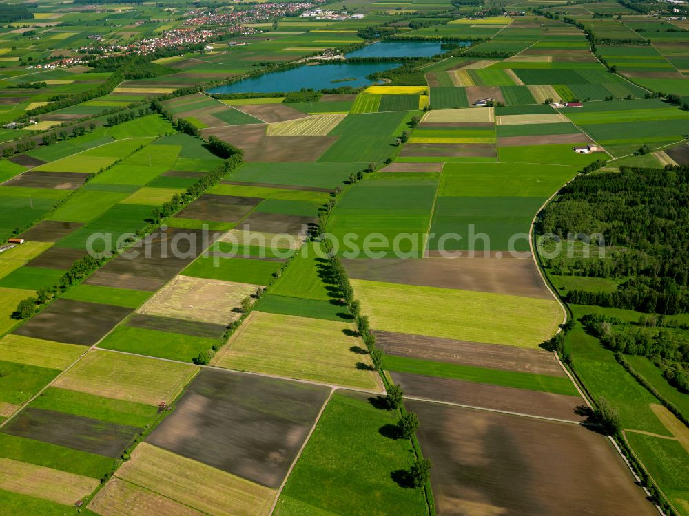 Mietingen from the bird's eye view: Structures on agricultural fields in Mietingen in the state Baden-Wuerttemberg, Germany