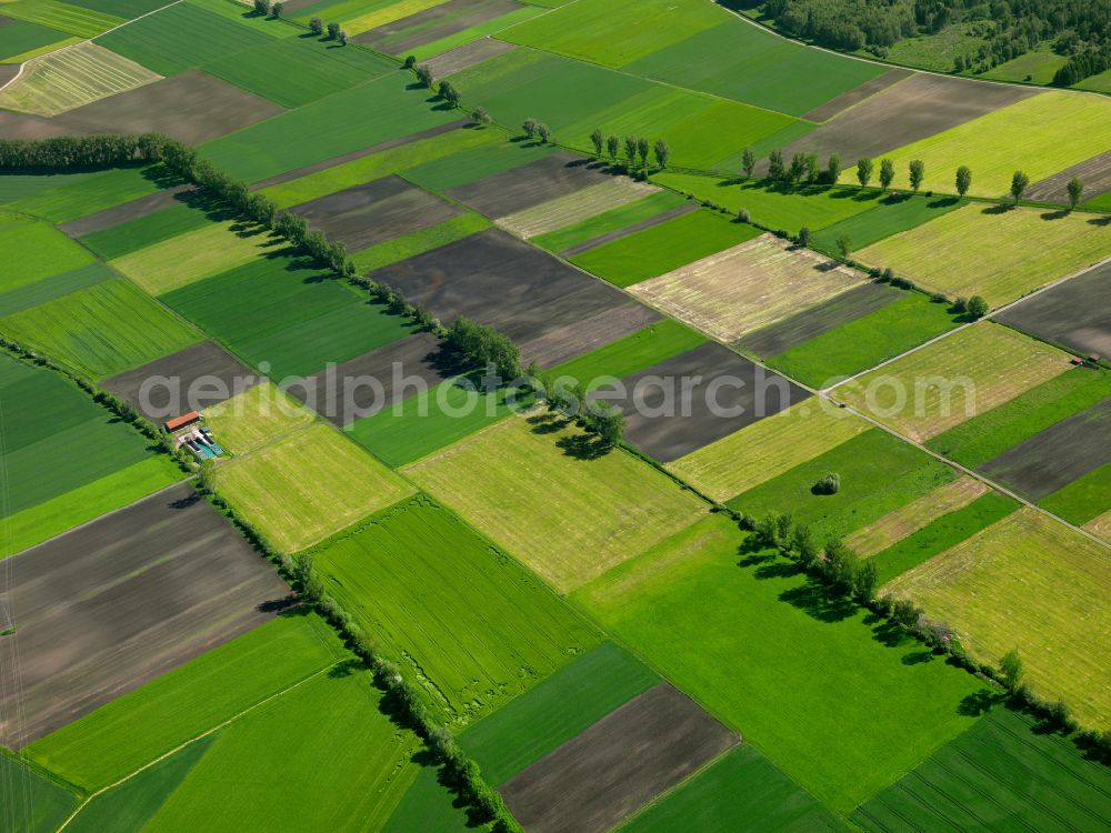 Mietingen from above - Structures on agricultural fields in Mietingen in the state Baden-Wuerttemberg, Germany
