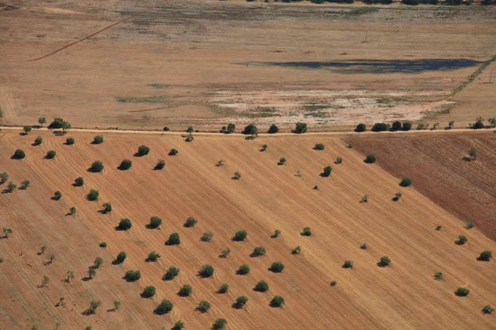 Inca from the bird's eye view: Structures on agricultural fields after the harvest at Inca in Mallorca in Balearic Islands, Spain