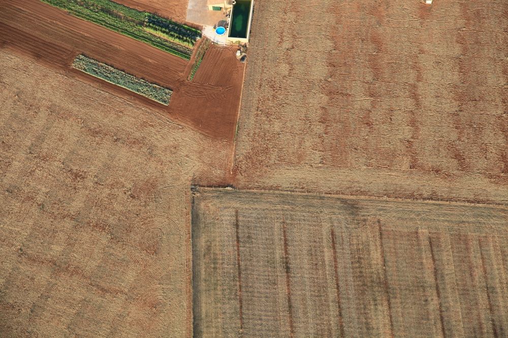 Aerial image Inca - Structures on agricultural fields after the harvest at Inca in Mallorca in Balearic Islands, Spain